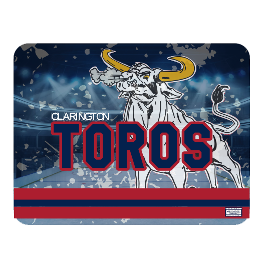 Toros Organization Blanket - Blue