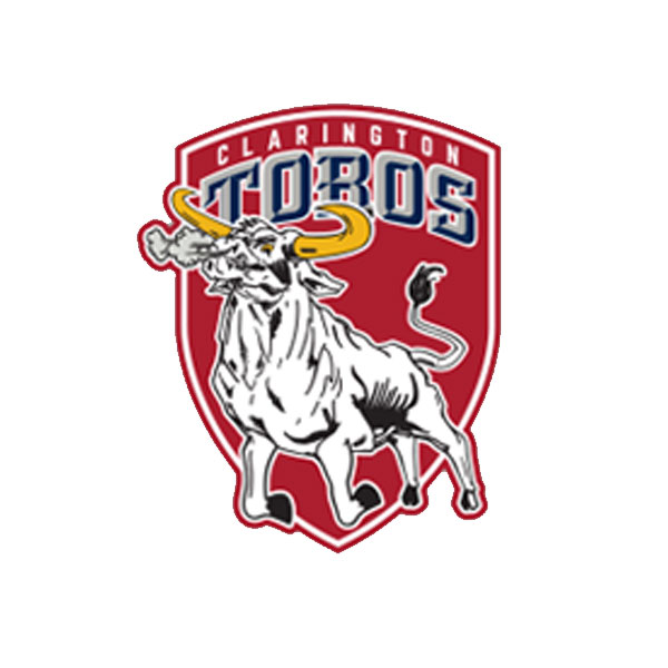 Toro Window Sticker - Shield